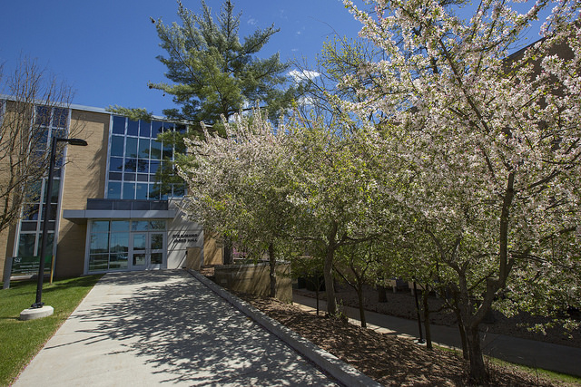 building with trees 